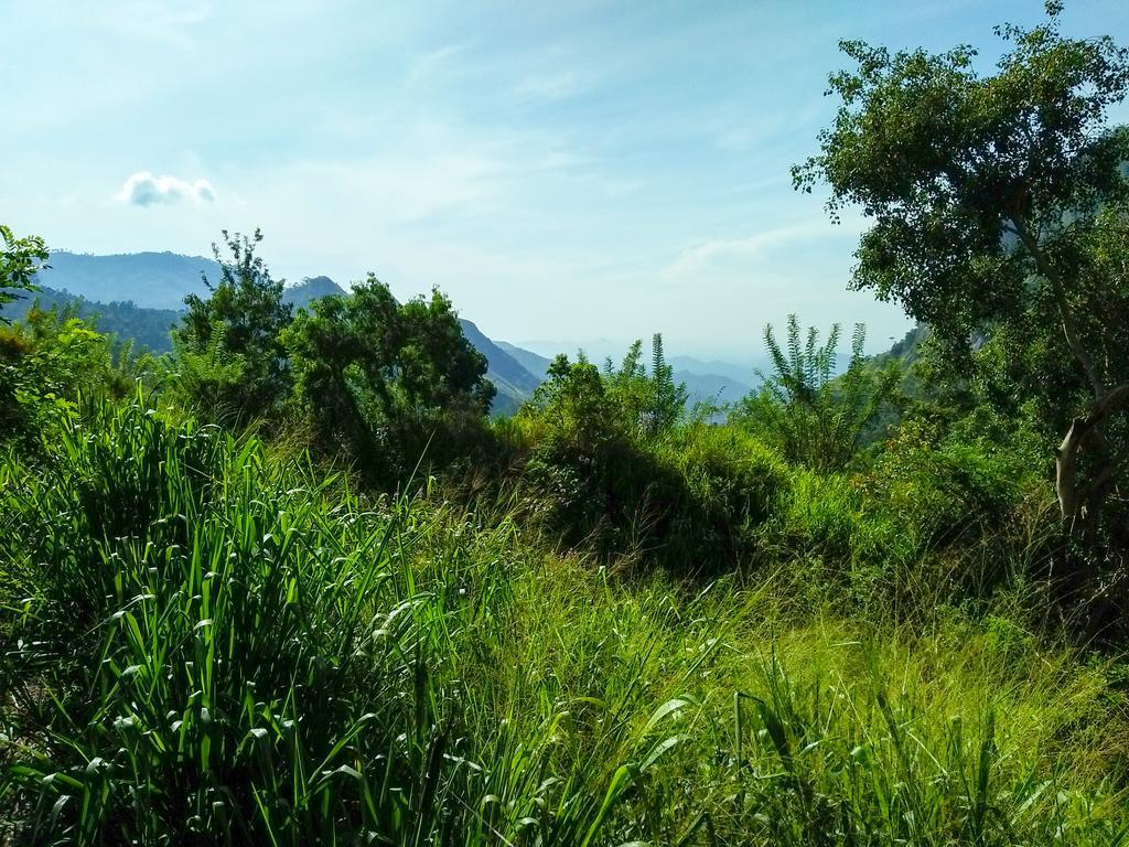Village View Homestay エッラ エクステリア 写真