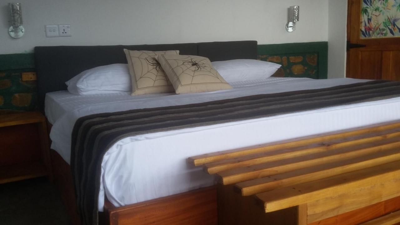 Village View Homestay エッラ エクステリア 写真