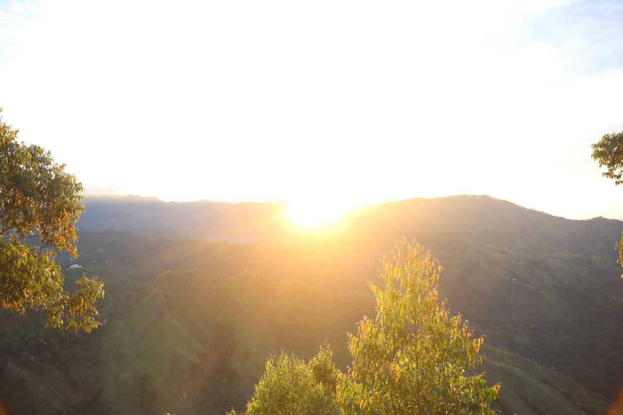 Village View Homestay エッラ エクステリア 写真