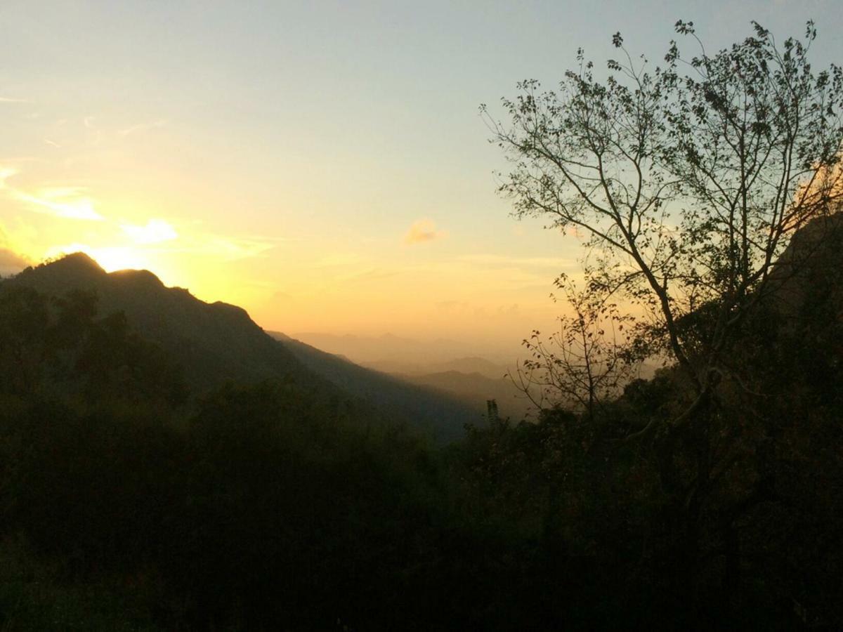 Village View Homestay エッラ エクステリア 写真