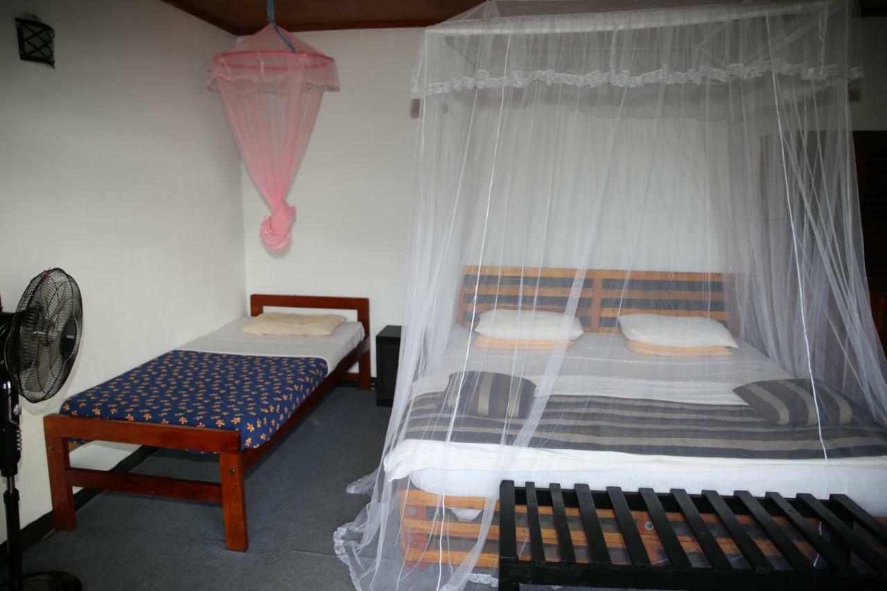 Village View Homestay エッラ エクステリア 写真